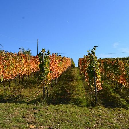 Agriturismo Costa Dei Platani Acqui Terme Exteriér fotografie