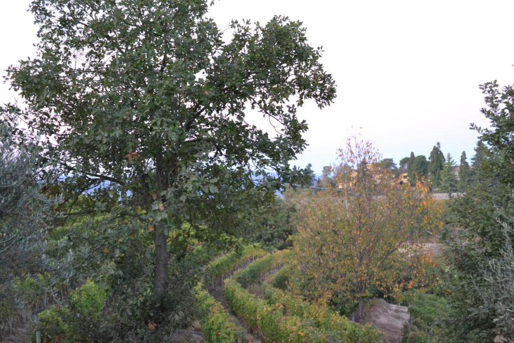 Agriturismo Costa Dei Platani Acqui Terme Exteriér fotografie