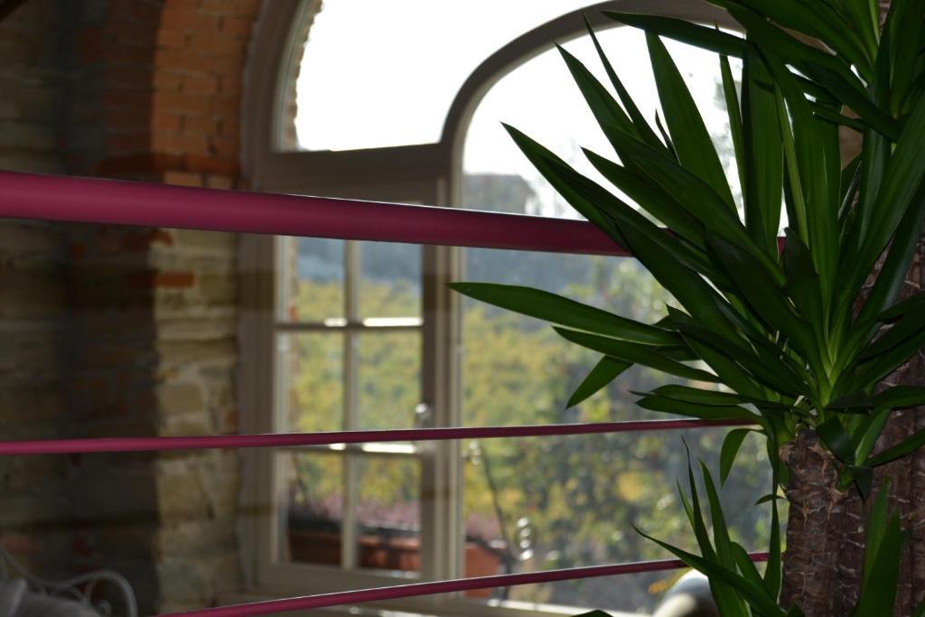 Agriturismo Costa Dei Platani Acqui Terme Exteriér fotografie