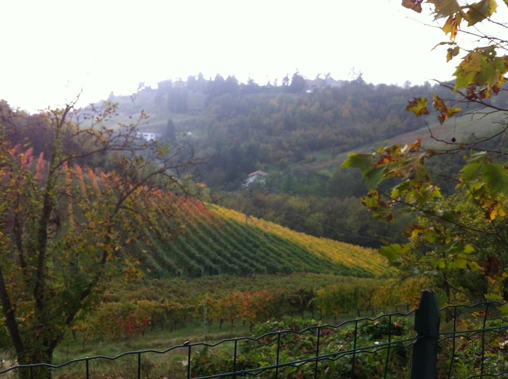 Agriturismo Costa Dei Platani Acqui Terme Exteriér fotografie
