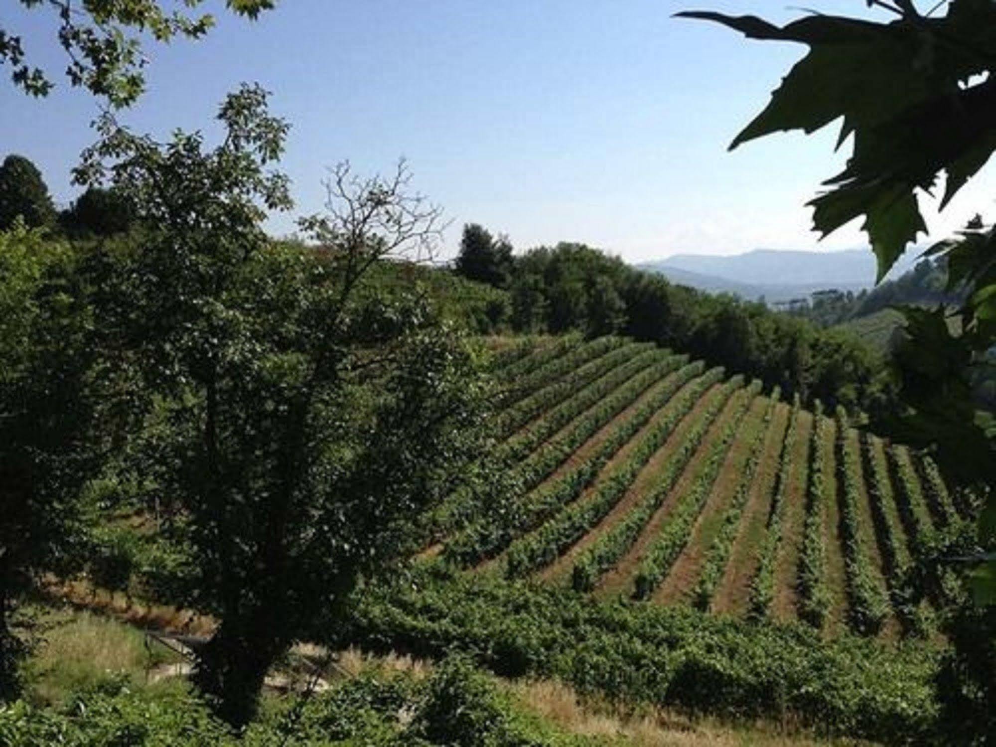 Agriturismo Costa Dei Platani Acqui Terme Exteriér fotografie