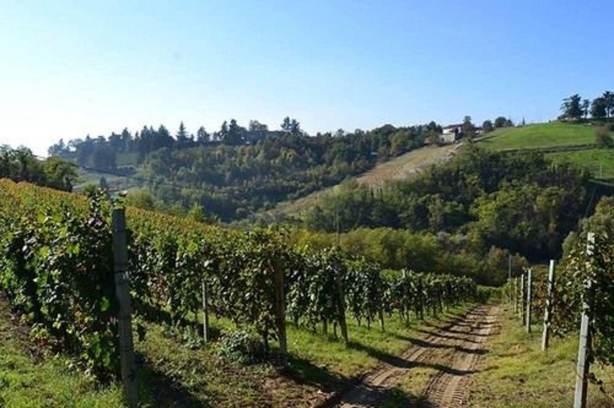 Agriturismo Costa Dei Platani Acqui Terme Exteriér fotografie