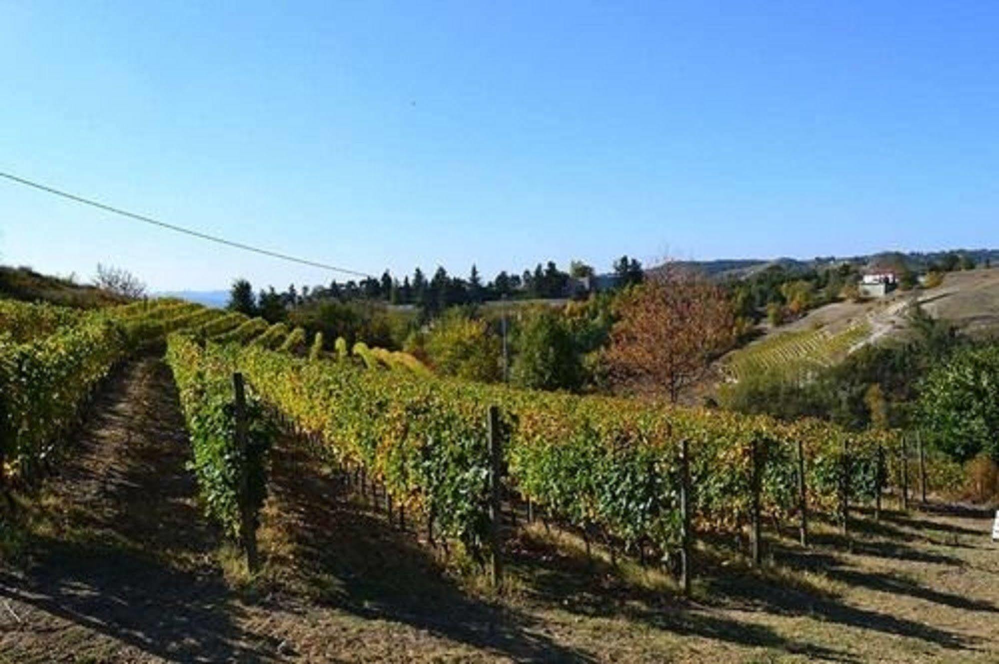 Agriturismo Costa Dei Platani Acqui Terme Exteriér fotografie