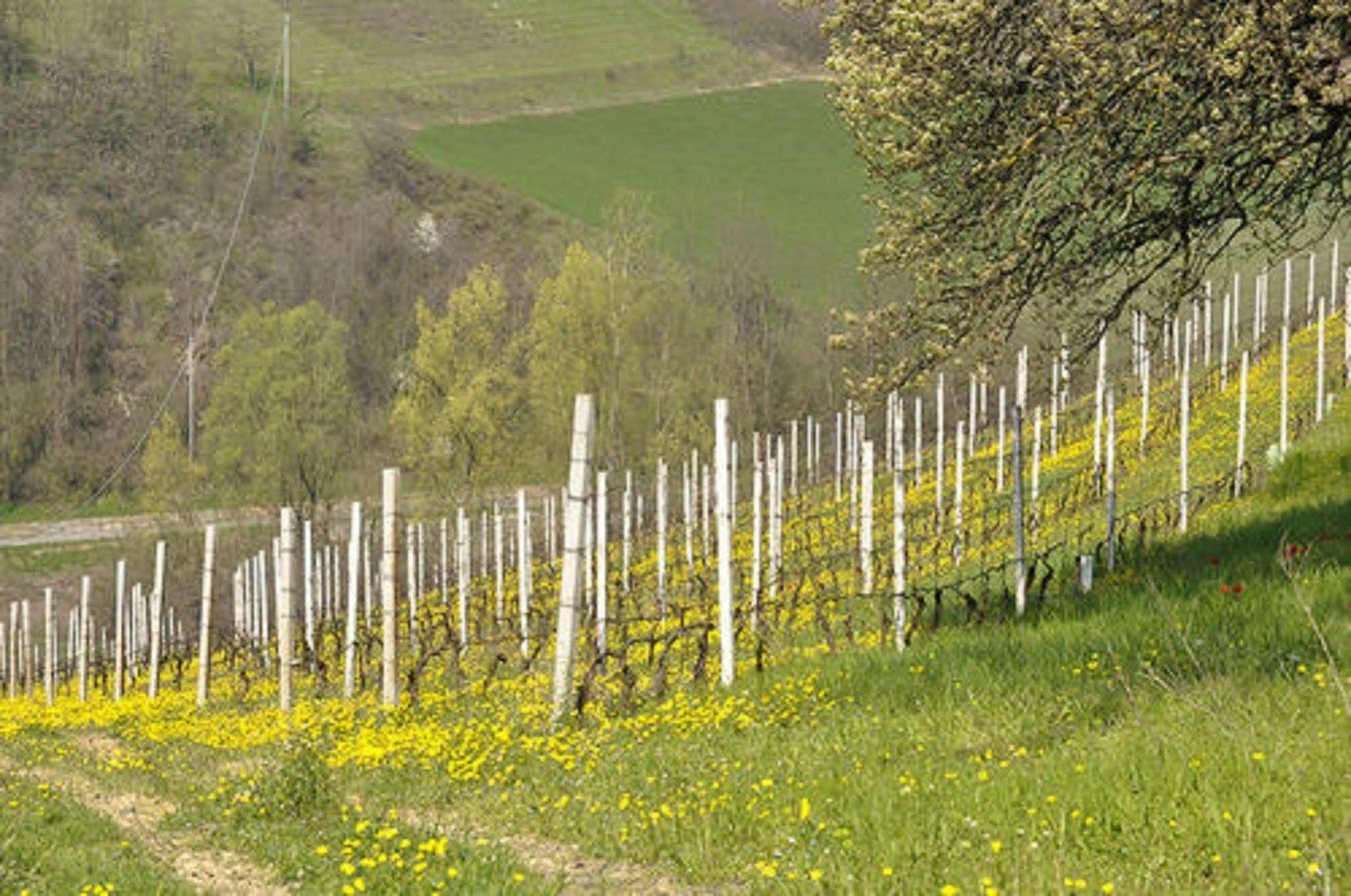 Agriturismo Costa Dei Platani Acqui Terme Exteriér fotografie
